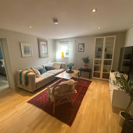 Lys Nyoppusset Tønsberg